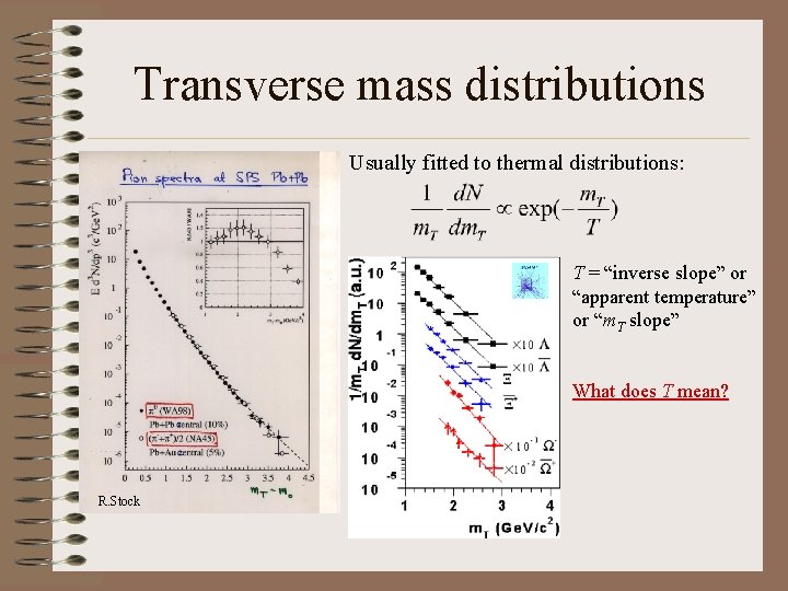 Transverse mass distributions Usually fitted to thermal distributions: T = “inverse slope” or “apparent