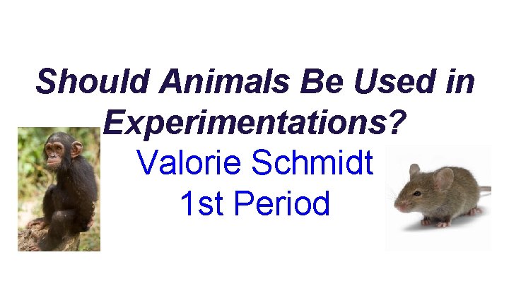 Should Animals Be Used in Experimentations? Valorie Schmidt 1 st Period 