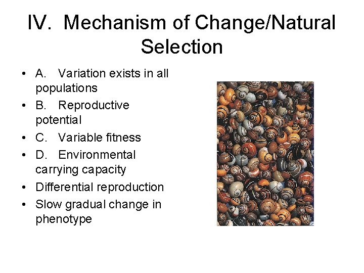 IV. Mechanism of Change/Natural Selection • A. Variation exists in all populations • B.