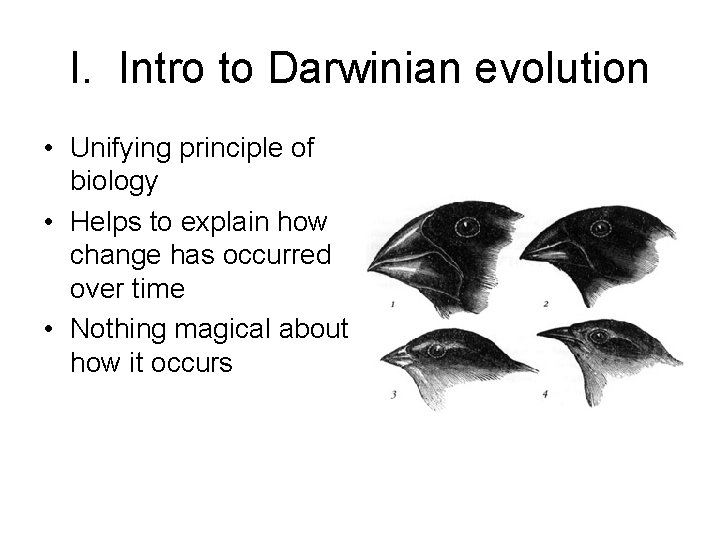 I. Intro to Darwinian evolution • Unifying principle of biology • Helps to explain