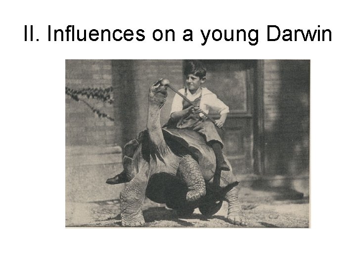 II. Influences on a young Darwin 