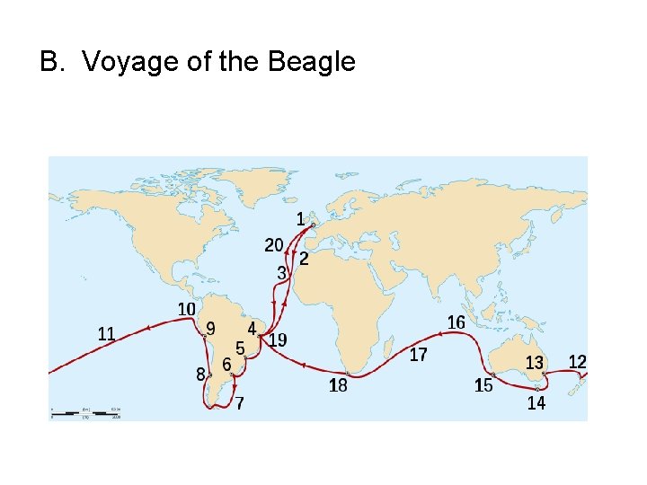 B. Voyage of the Beagle 