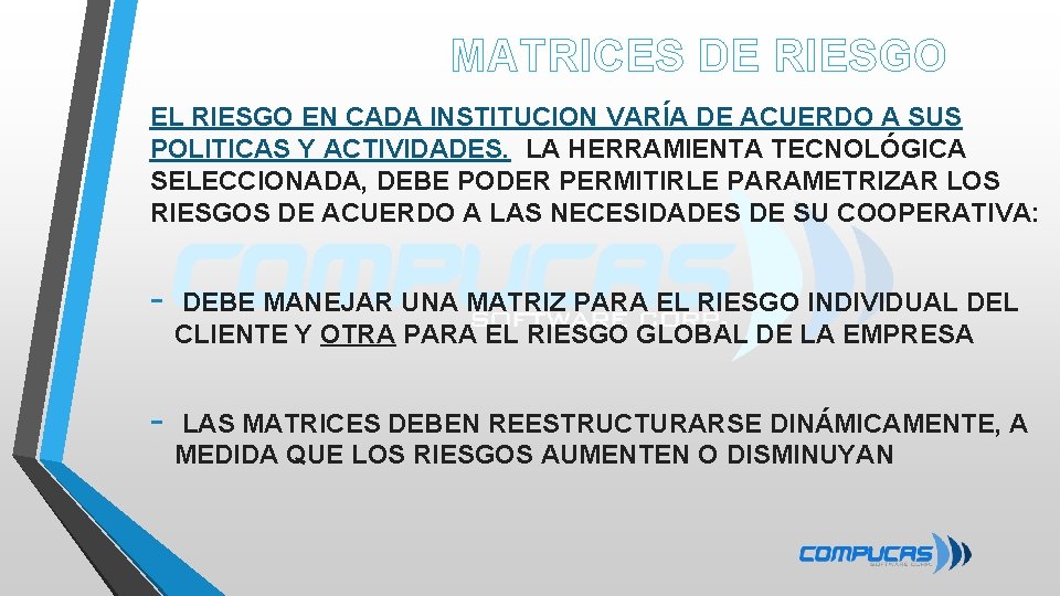 MATRICES DE RIESGO EL RIESGO EN CADA INSTITUCION VARÍA DE ACUERDO A SUS POLITICAS