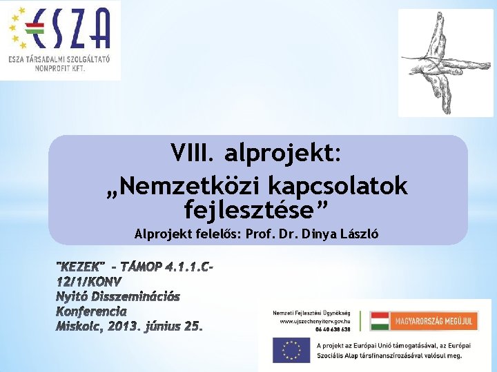 VIII. alprojekt: „Nemzetközi kapcsolatok fejlesztése” Alprojekt felelős: Prof. Dr. Dinya László 