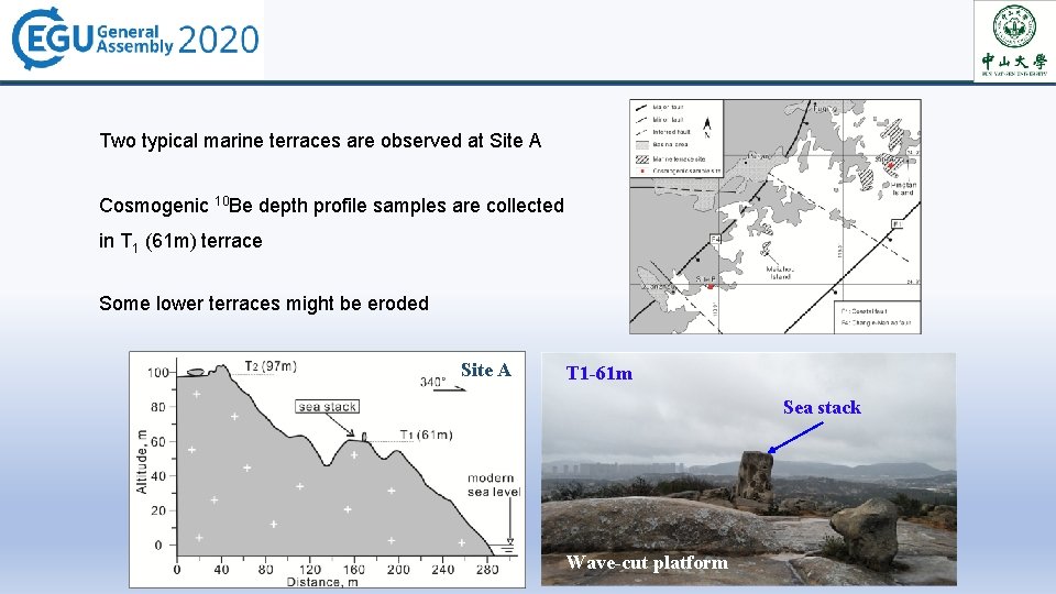 Two typical marine terraces are observed at Site A Cosmogenic 10 Be depth profile Two typical marine terraces are observed at Site A Cosmogenic 10 Be depth profile
