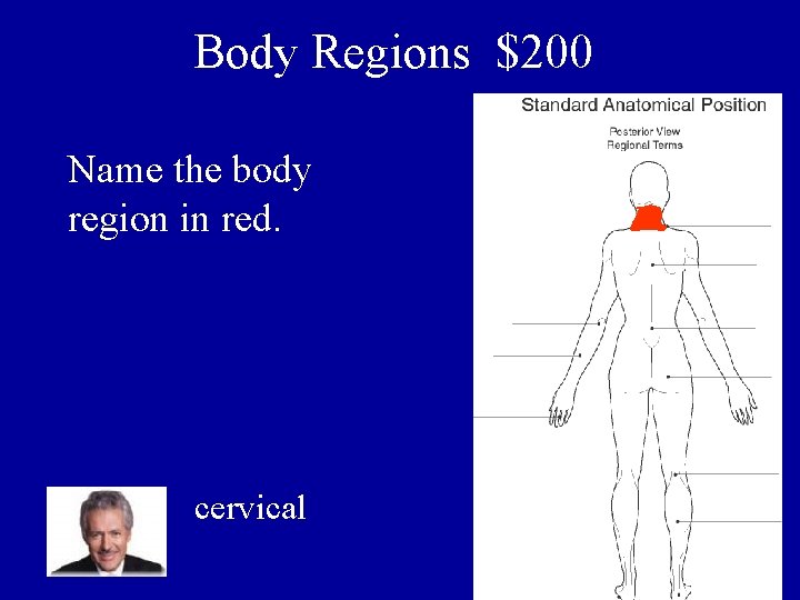 Body Regions $200 Name the body region in red. cervical 