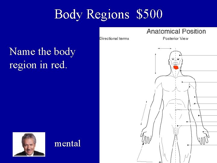 Body Regions $500 Name the body region in red. mental 