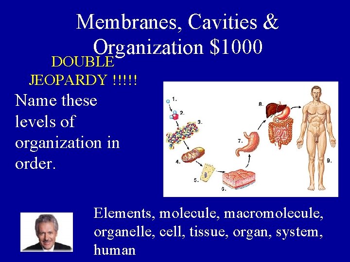 Membranes, Cavities & Organization $1000 DOUBLE JEOPARDY !!!!! Name these levels of organization in