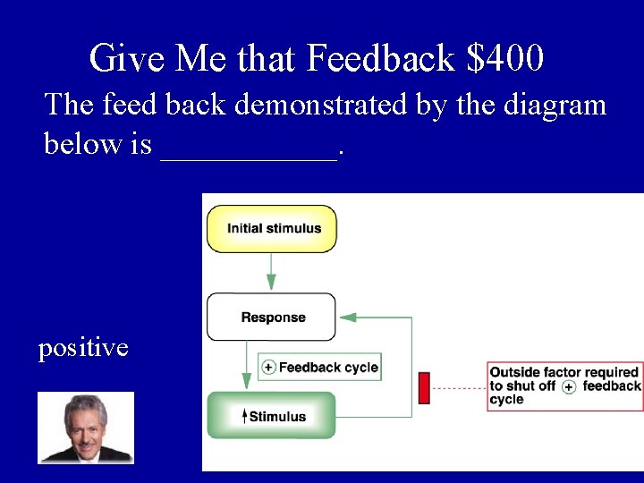 Give Me that Feedback $400 The feed back demonstrated by the diagram below is