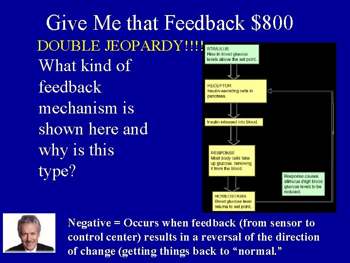 Give Me that Feedback $800 DOUBLE JEOPARDY!!!! What kind of feedback mechanism is shown