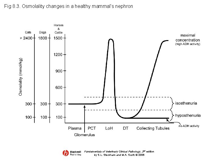Fig 8. 3. Osmolality changes in a healthy mammal’s nephron Fundamentals of Veterinary Clinical