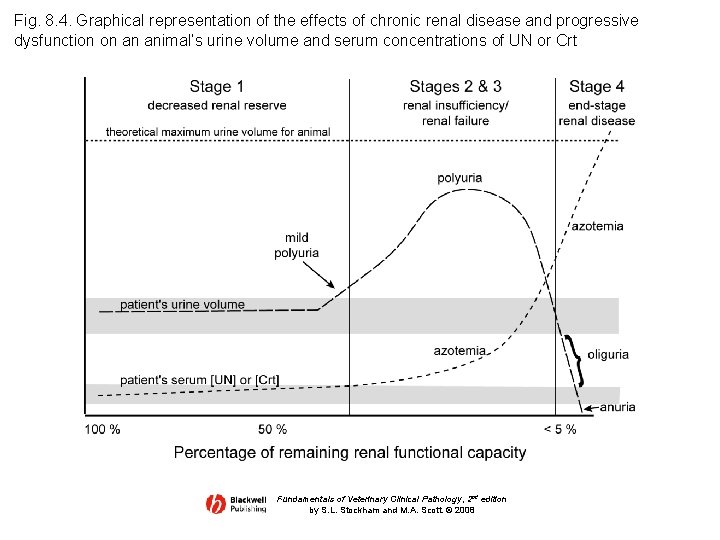 Fig. 8. 4. Graphical representation of the effects of chronic renal disease and progressive