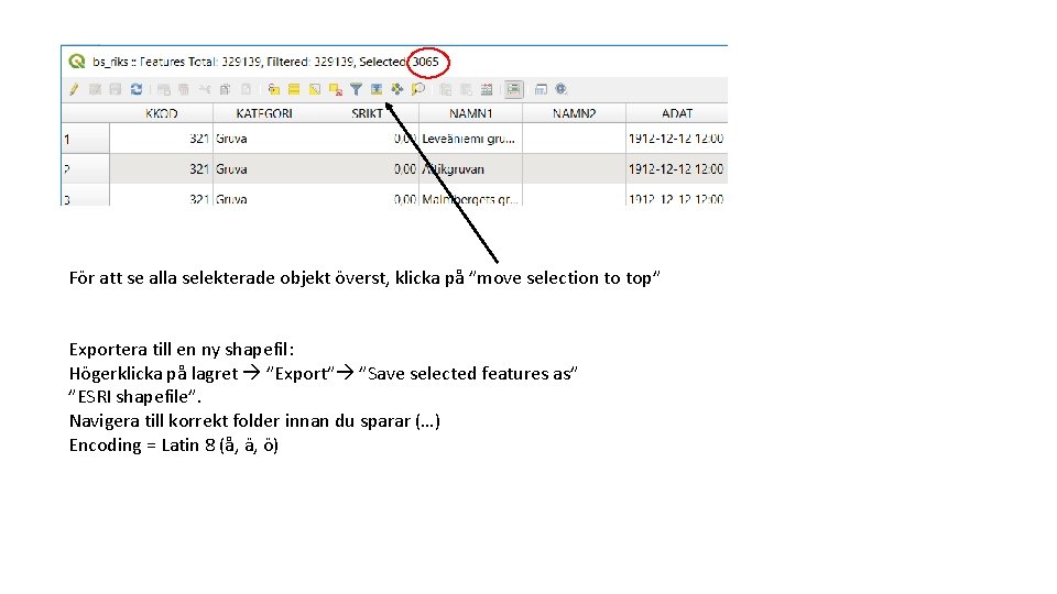 För att se alla selekterade objekt överst, klicka på ”move selection to top” Exportera