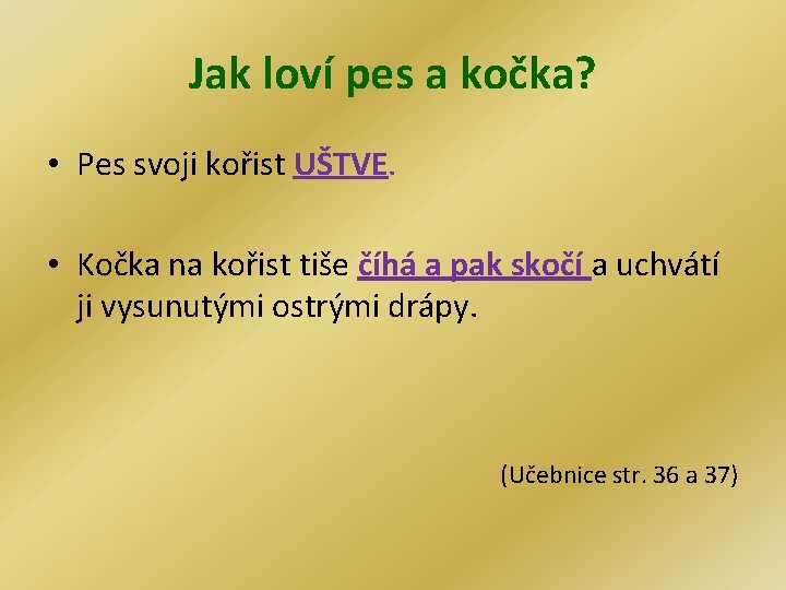 Jak loví pes a kočka? • Pes svoji kořist UŠTVE. • Kočka na kořist