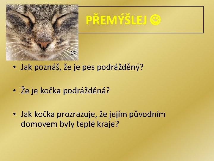 PŘEMÝŠLEJ 17 • Jak poznáš, že je pes podrážděný? • Že je kočka podrážděná?