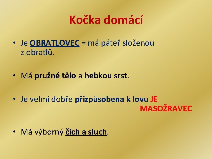 Kočka domácí • Je OBRATLOVEC = má páteř složenou z obratlů. • Má pružné