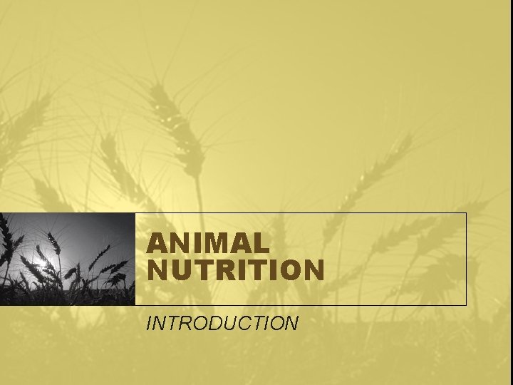 ANIMAL NUTRITION INTRODUCTION 