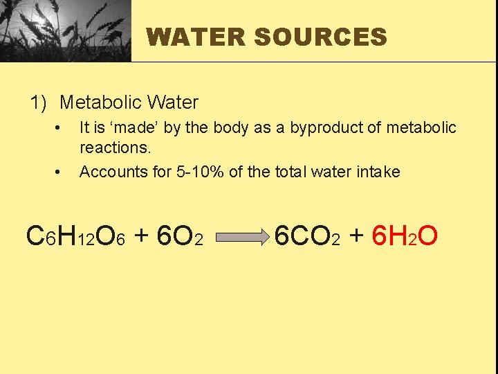 WATER SOURCES 1) Metabolic Water • • It is ‘made’ by the body as