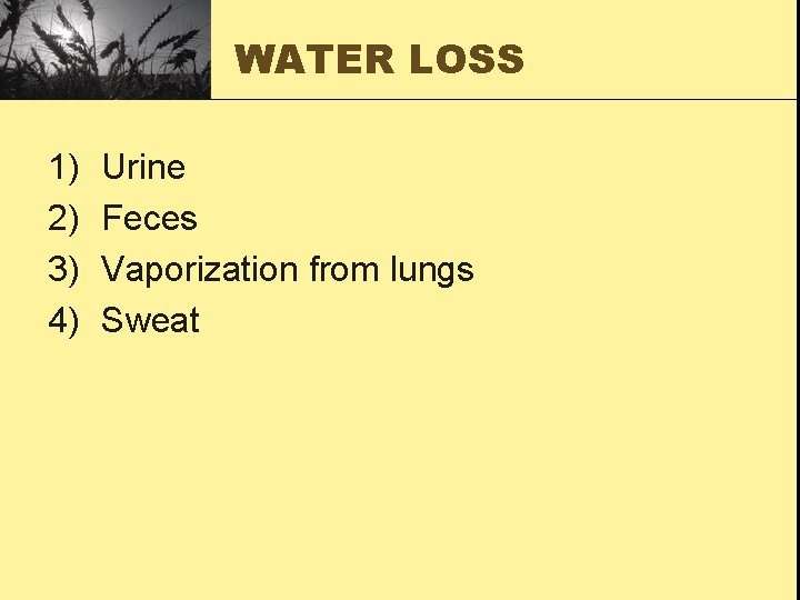 WATER LOSS 1) 2) 3) 4) Urine Feces Vaporization from lungs Sweat 