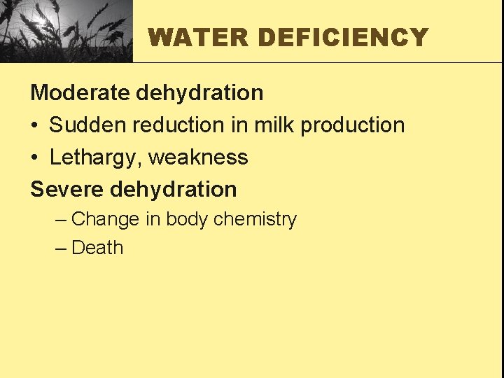 WATER DEFICIENCY Moderate dehydration • Sudden reduction in milk production • Lethargy, weakness Severe