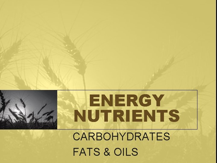 ENERGY NUTRIENTS CARBOHYDRATES FATS & OILS 