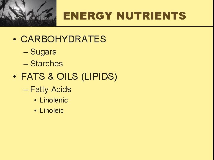 ENERGY NUTRIENTS • CARBOHYDRATES – Sugars – Starches • FATS & OILS (LIPIDS) –