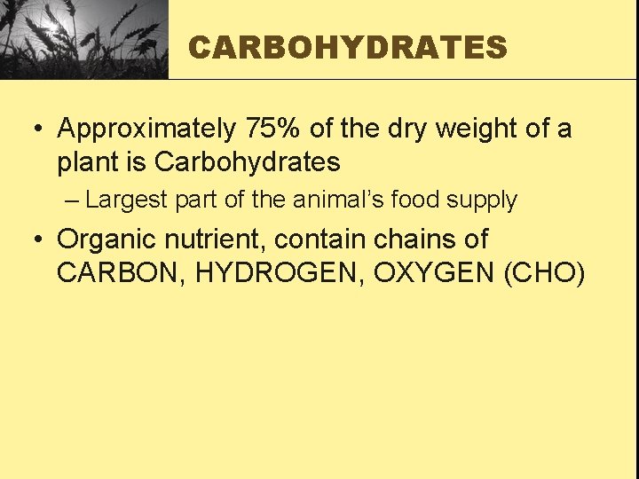 CARBOHYDRATES • Approximately 75% of the dry weight of a plant is Carbohydrates –