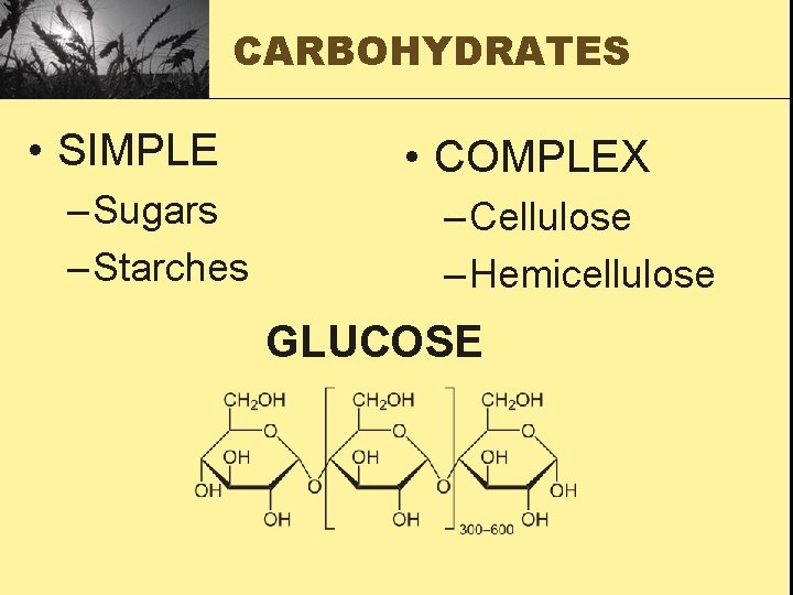 CARBOHYDRATES • SIMPLE – Sugars – Starches • COMPLEX – Cellulose – Hemicellulose GLUCOSE