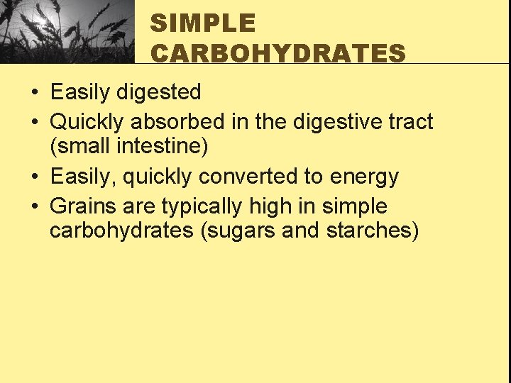 SIMPLE CARBOHYDRATES • Easily digested • Quickly absorbed in the digestive tract (small intestine)