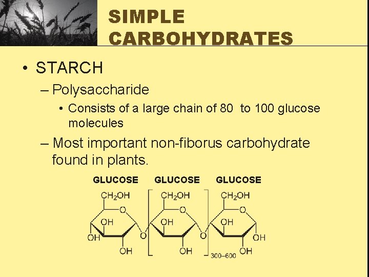 SIMPLE CARBOHYDRATES • STARCH – Polysaccharide • Consists of a large chain of 80