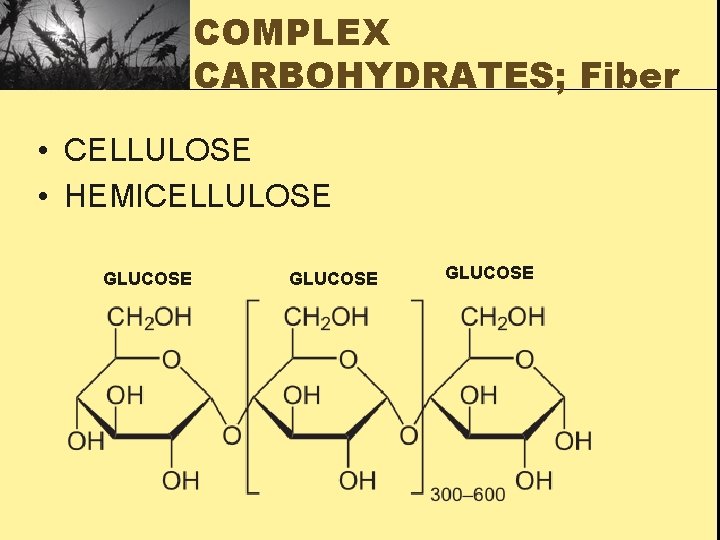 COMPLEX CARBOHYDRATES; Fiber • CELLULOSE • HEMICELLULOSE GLUCOSE 