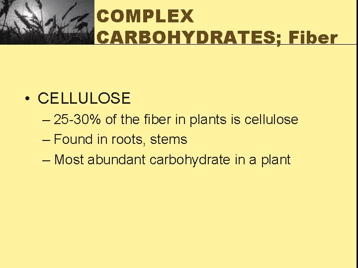 COMPLEX CARBOHYDRATES; Fiber • CELLULOSE – 25 -30% of the fiber in plants is
