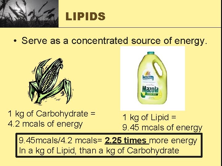 LIPIDS • Serve as a concentrated source of energy. 1 kg of Carbohydrate =