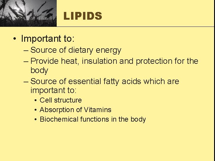 LIPIDS • Important to: – Source of dietary energy – Provide heat, insulation and