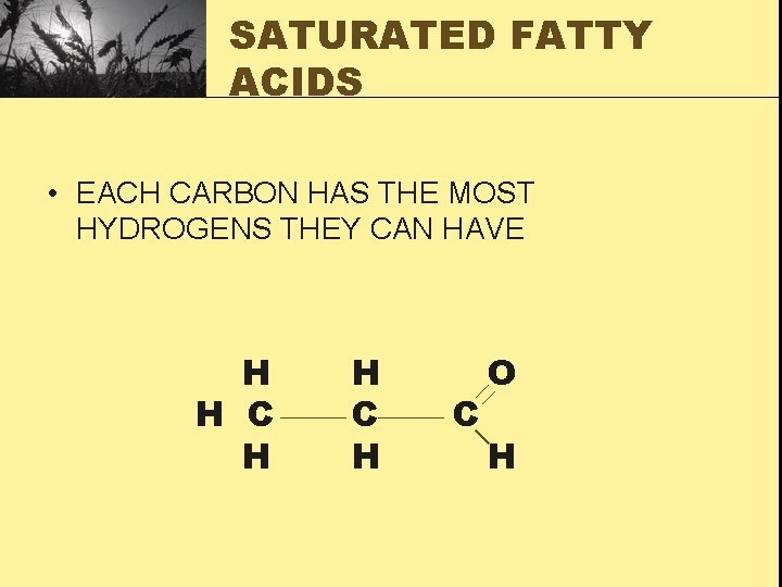 SATURATED FATTY ACIDS • EACH CARBON HAS THE MOST HYDROGENS THEY CAN HAVE H