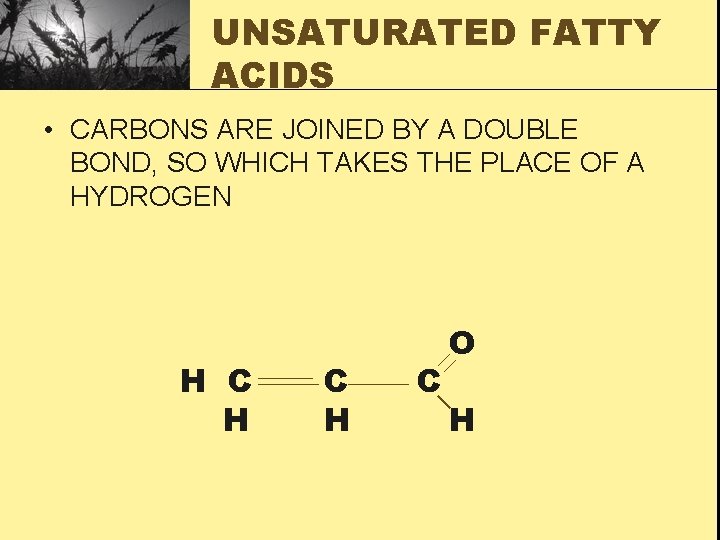 UNSATURATED FATTY ACIDS • CARBONS ARE JOINED BY A DOUBLE BOND, SO WHICH TAKES