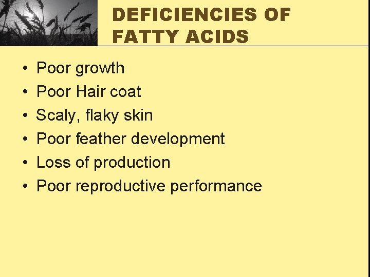 DEFICIENCIES OF FATTY ACIDS • • • Poor growth Poor Hair coat Scaly, flaky