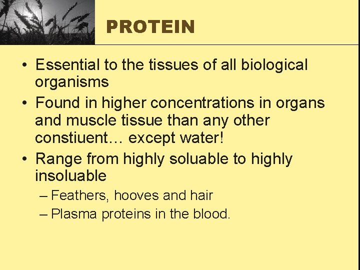 PROTEIN • Essential to the tissues of all biological organisms • Found in higher