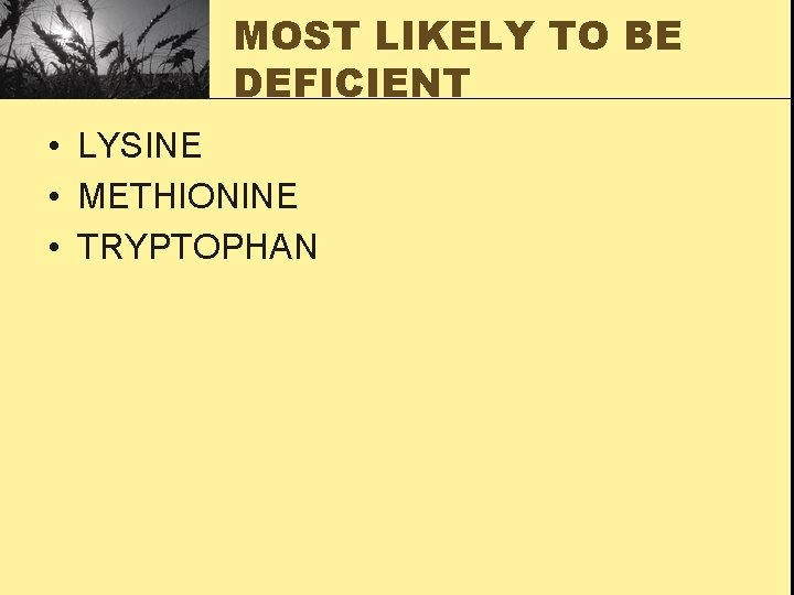 MOST LIKELY TO BE DEFICIENT • LYSINE • METHIONINE • TRYPTOPHAN 