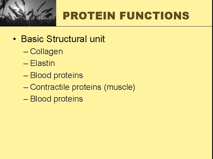 PROTEIN FUNCTIONS • Basic Structural unit – Collagen – Elastin – Blood proteins –