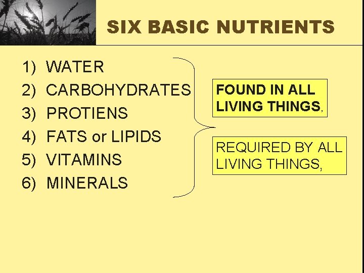 SIX BASIC NUTRIENTS 1) 2) 3) 4) 5) 6) WATER CARBOHYDRATES PROTIENS FATS or