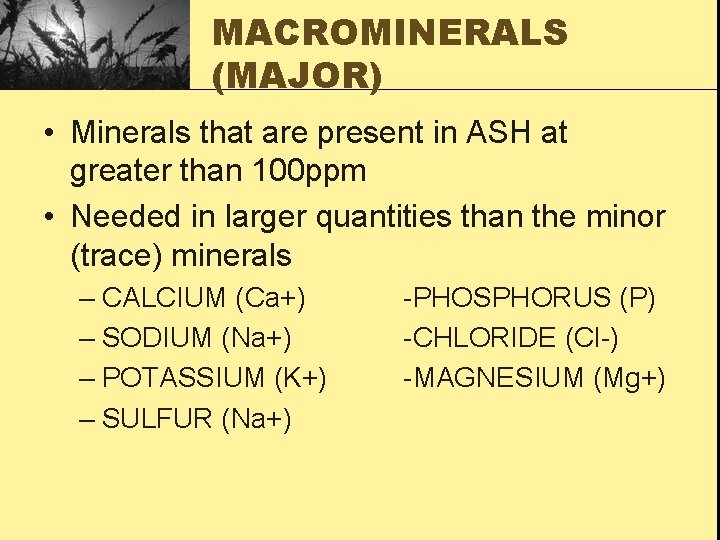 MACROMINERALS (MAJOR) • Minerals that are present in ASH at greater than 100 ppm