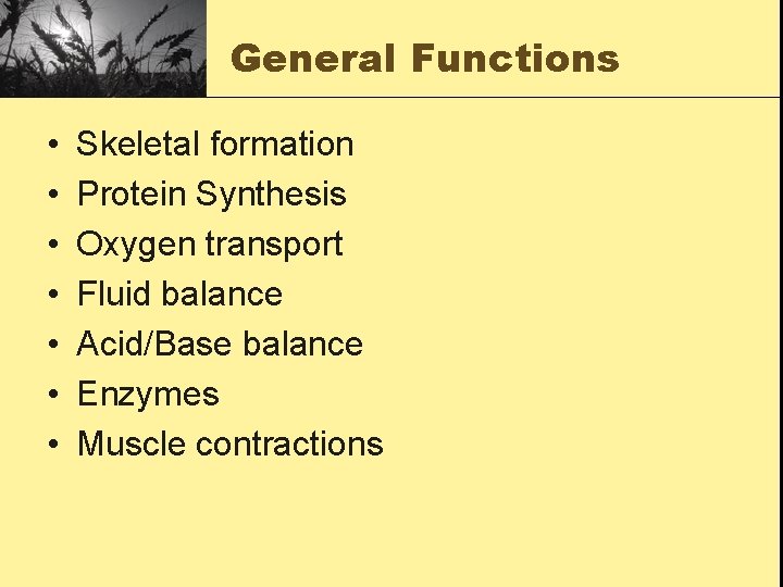 General Functions • • Skeletal formation Protein Synthesis Oxygen transport Fluid balance Acid/Base balance