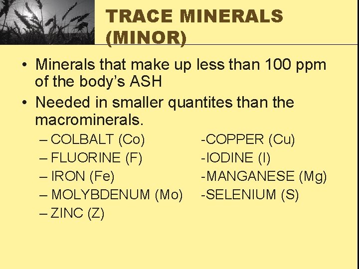 TRACE MINERALS (MINOR) • Minerals that make up less than 100 ppm of the