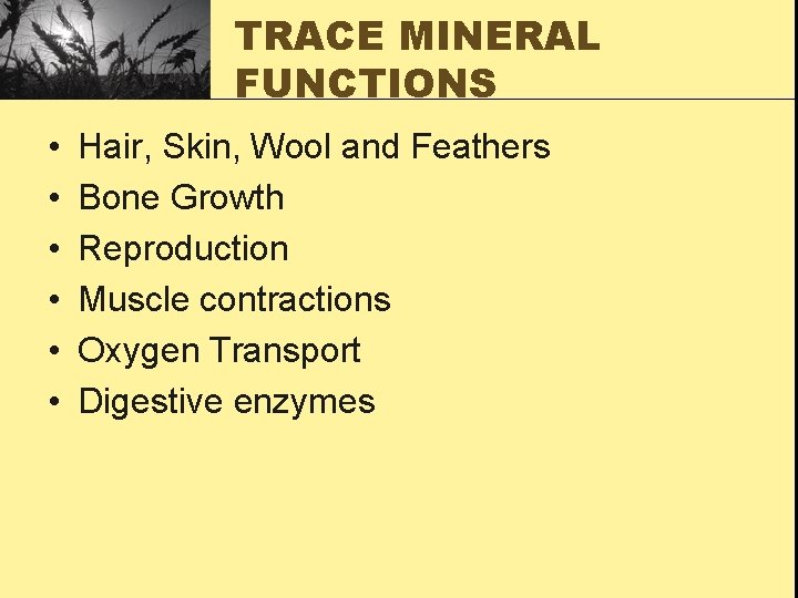 TRACE MINERAL FUNCTIONS • • • Hair, Skin, Wool and Feathers Bone Growth Reproduction