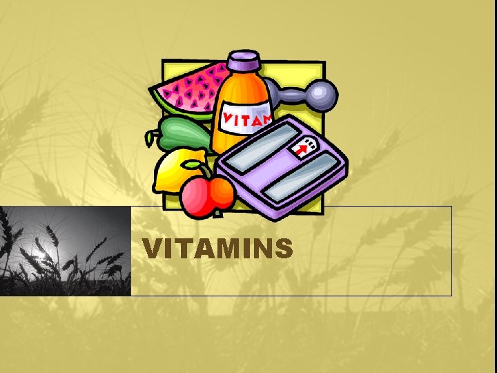 VITAMINS 