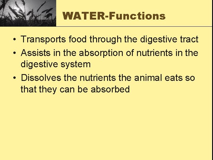 WATER-Functions • Transports food through the digestive tract • Assists in the absorption of