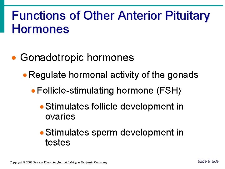 Functions of Other Anterior Pituitary Hormones · Gonadotropic hormones · Regulate hormonal activity of Functions of Other Anterior Pituitary Hormones · Gonadotropic hormones · Regulate hormonal activity of