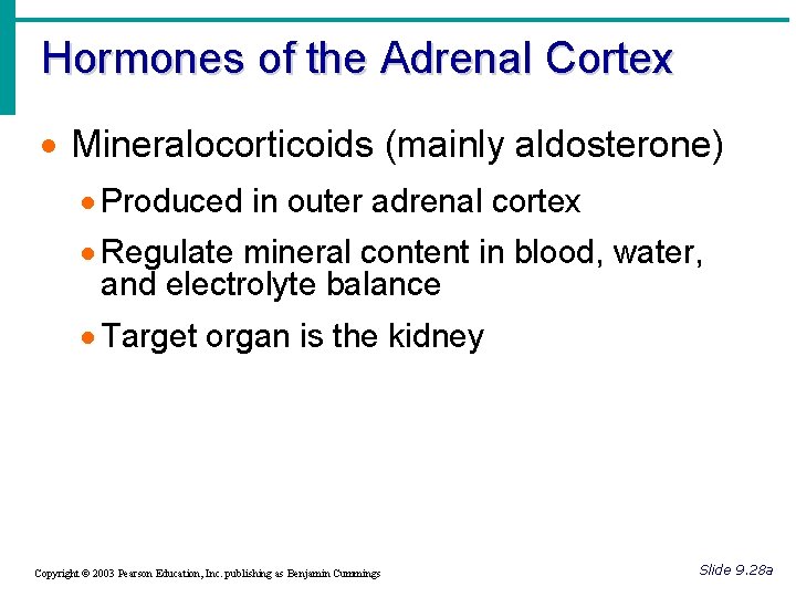 Hormones of the Adrenal Cortex · Mineralocorticoids (mainly aldosterone) · Produced in outer adrenal Hormones of the Adrenal Cortex · Mineralocorticoids (mainly aldosterone) · Produced in outer adrenal