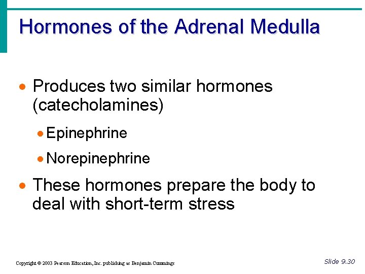 Hormones of the Adrenal Medulla · Produces two similar hormones (catecholamines) · Epinephrine · Hormones of the Adrenal Medulla · Produces two similar hormones (catecholamines) · Epinephrine ·